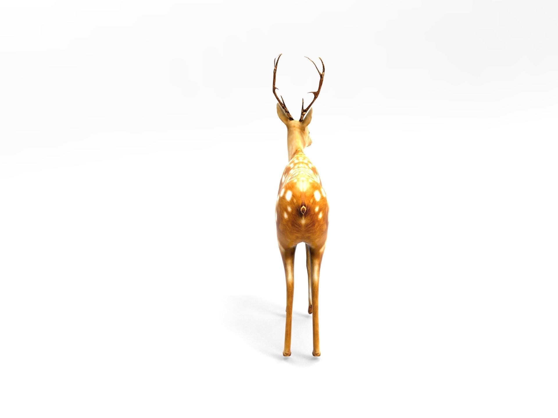 Deer Rigged Low-poly 3D model_3