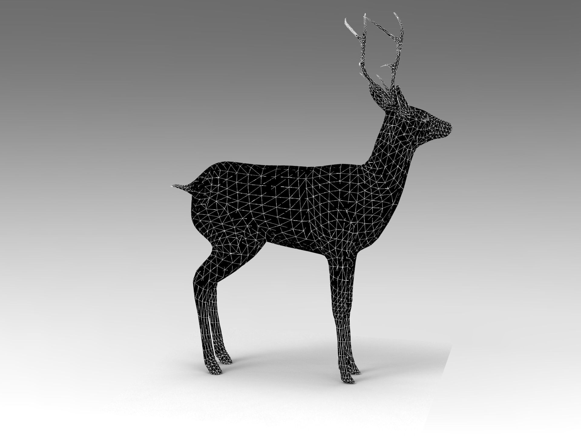Deer Rigged Low-poly 3D model_18