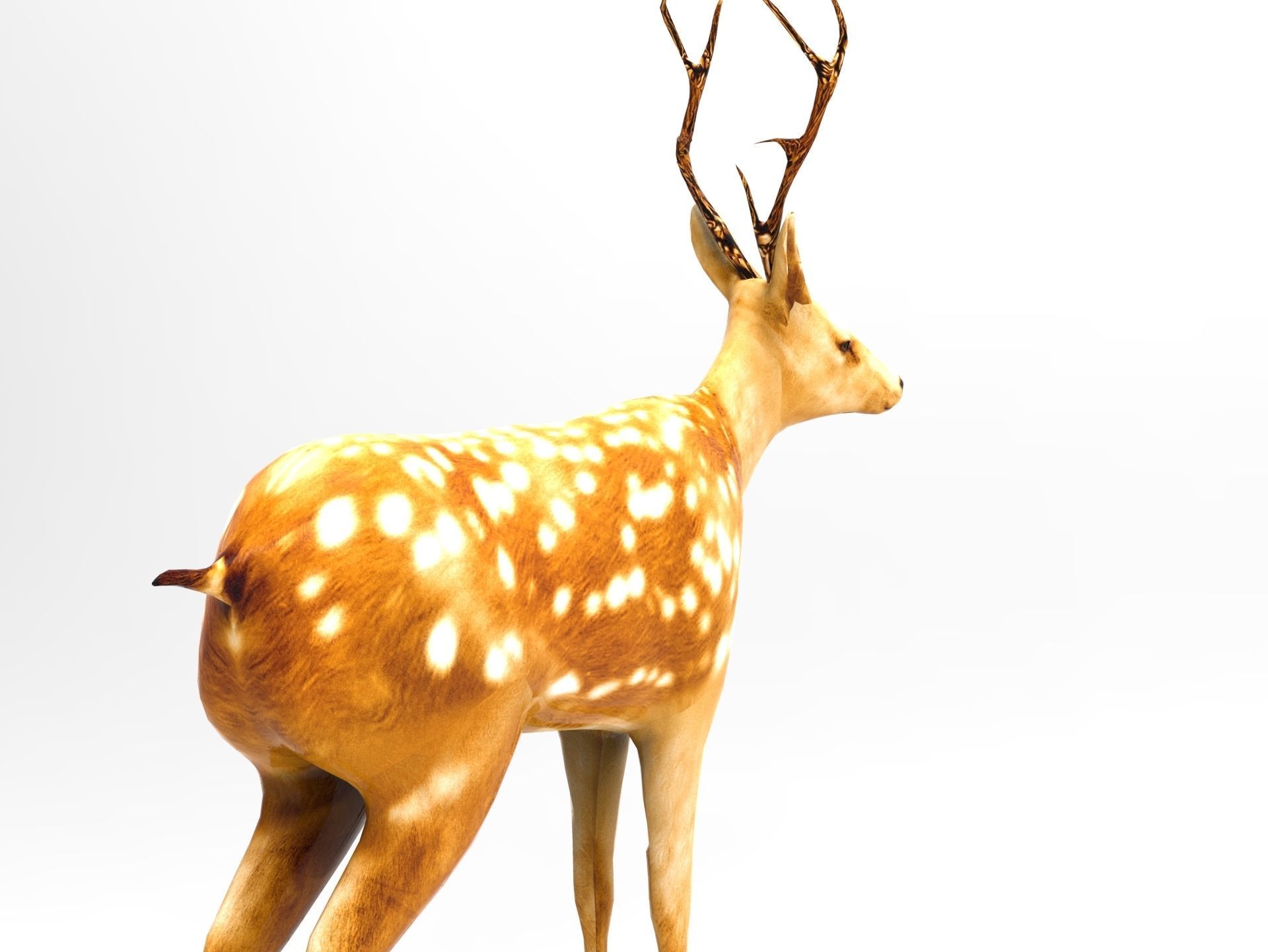 Deer Rigged Low-poly 3D model_7