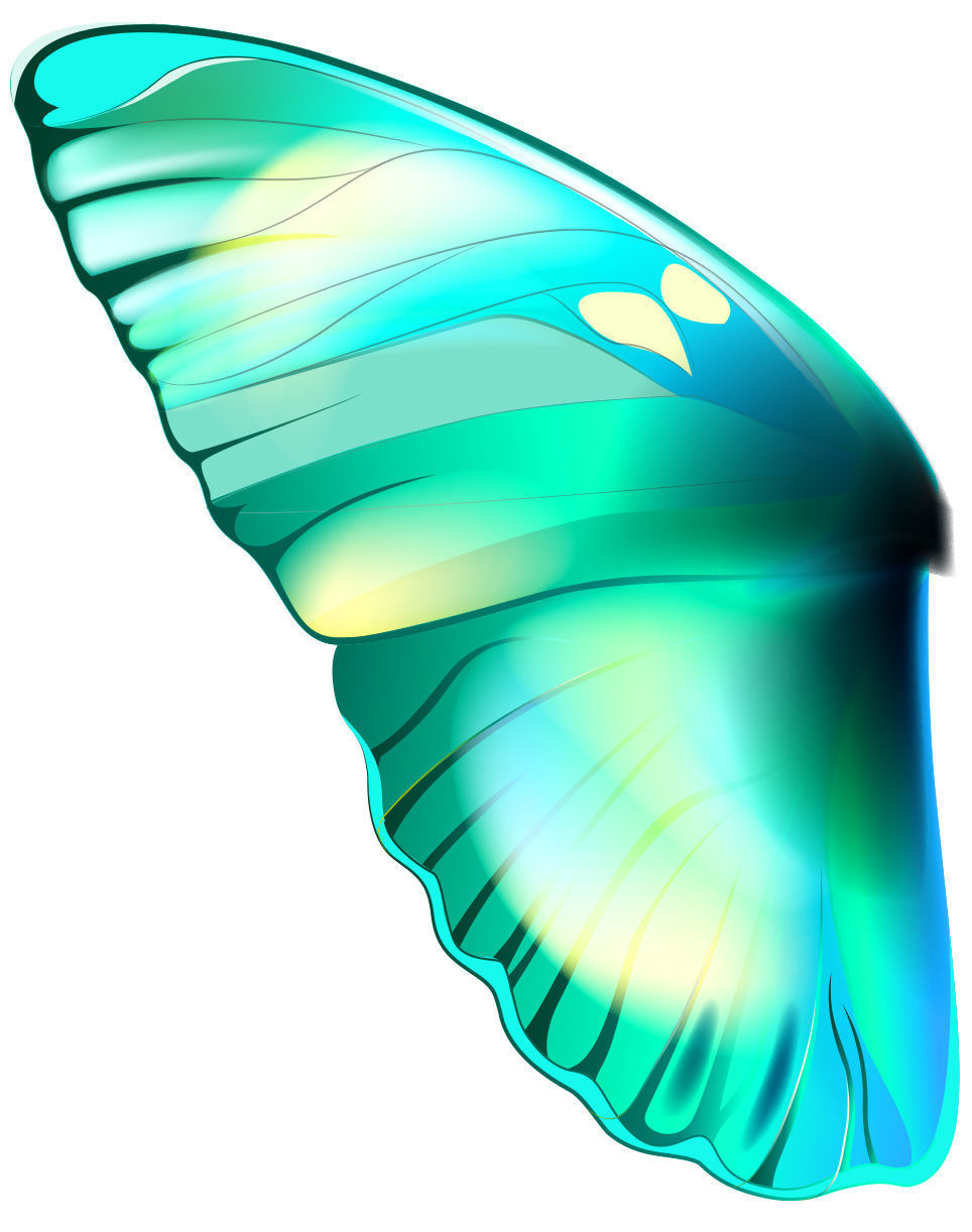 Cartoon Butterfly Low-poly 3D model 3D model_10