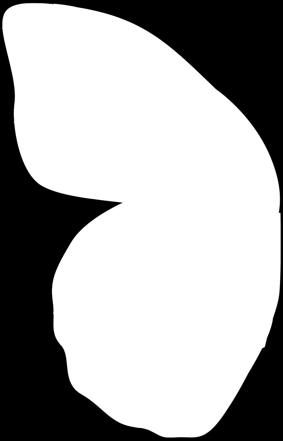 Cartoon Butterfly Low-poly 3D model 3D model_8