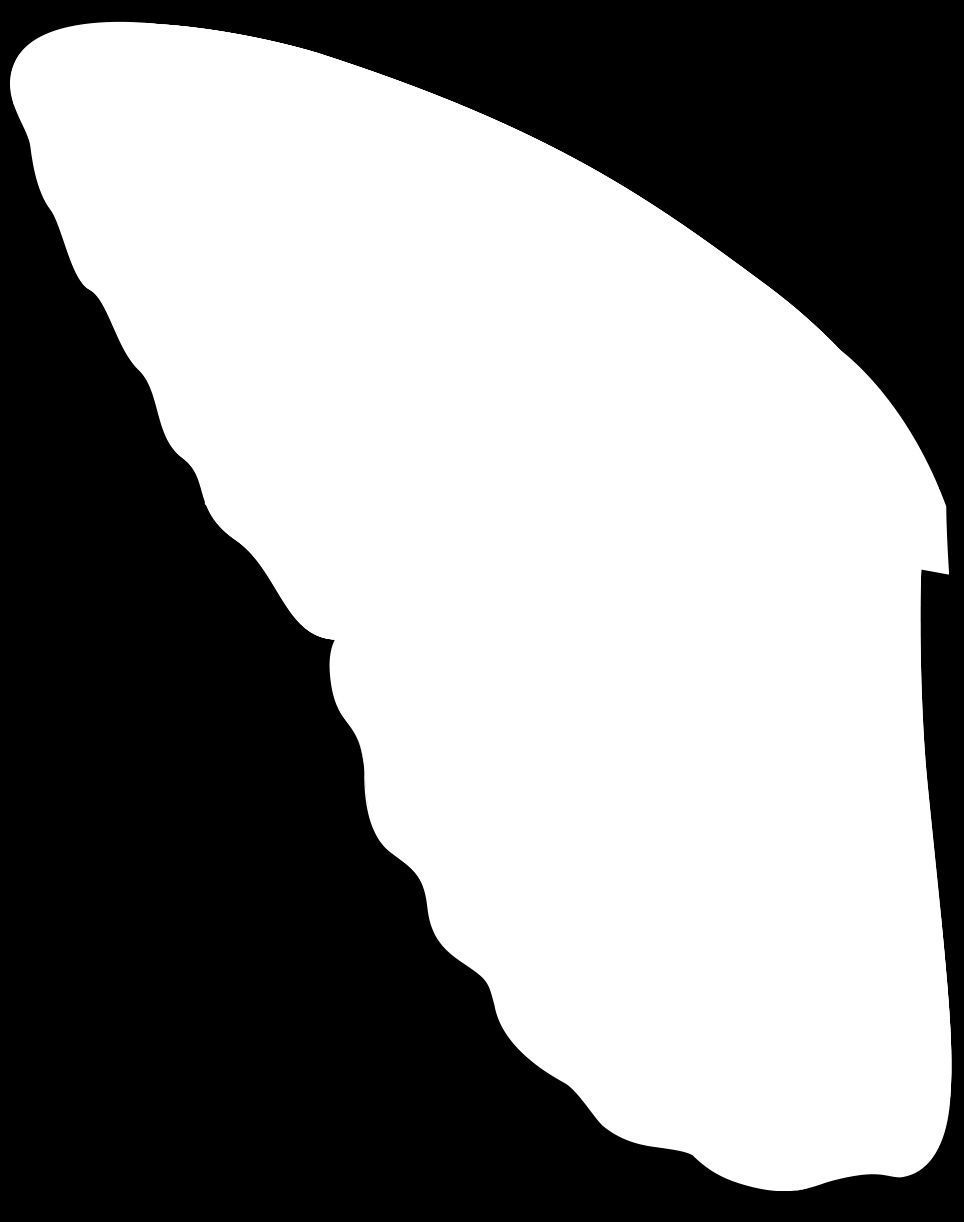 Cartoon Butterfly Low-poly 3D model 3D model_11