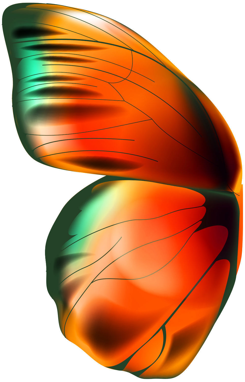 Cartoon Butterfly Low-poly 3D model 3D model_7