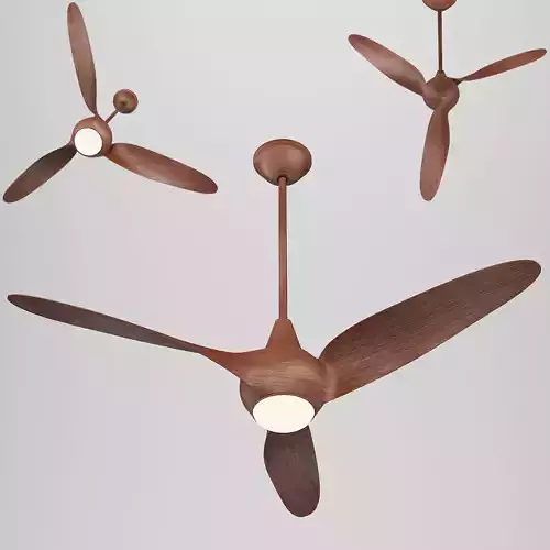 Ceiling Fan