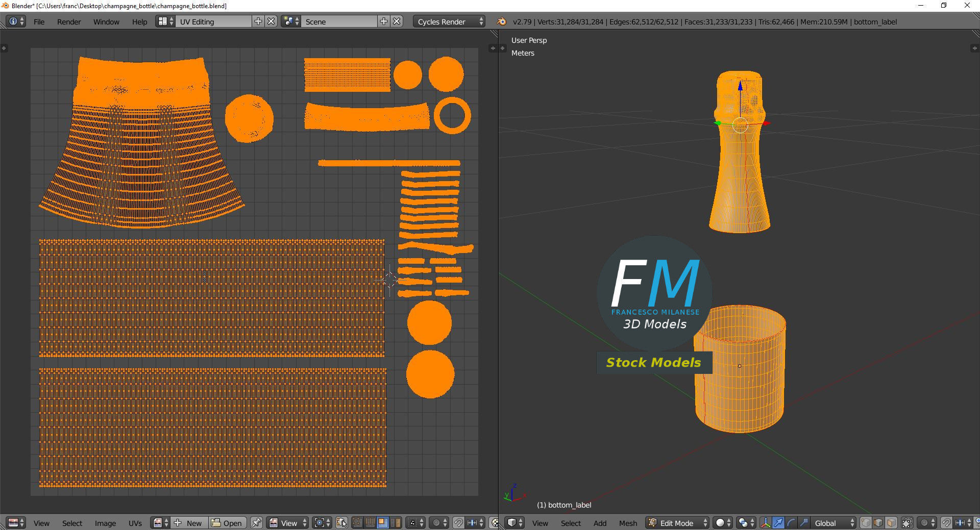Champagne bottle 3D model_10