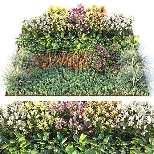 Flowerbed 3 3D model