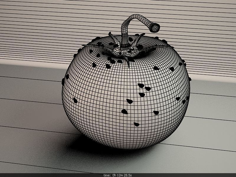 Tomato with measurements 3D model_3