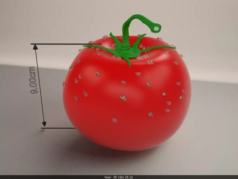 Tomato with measurements 3D model_0