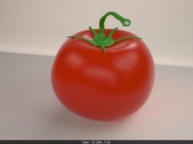 Tomato with measurements 3D model_4