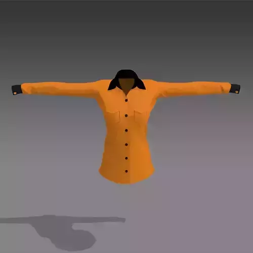 Female Shirt 3D
