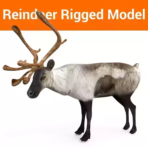 Snow Reindeer Rigged  Low-poly 3D model