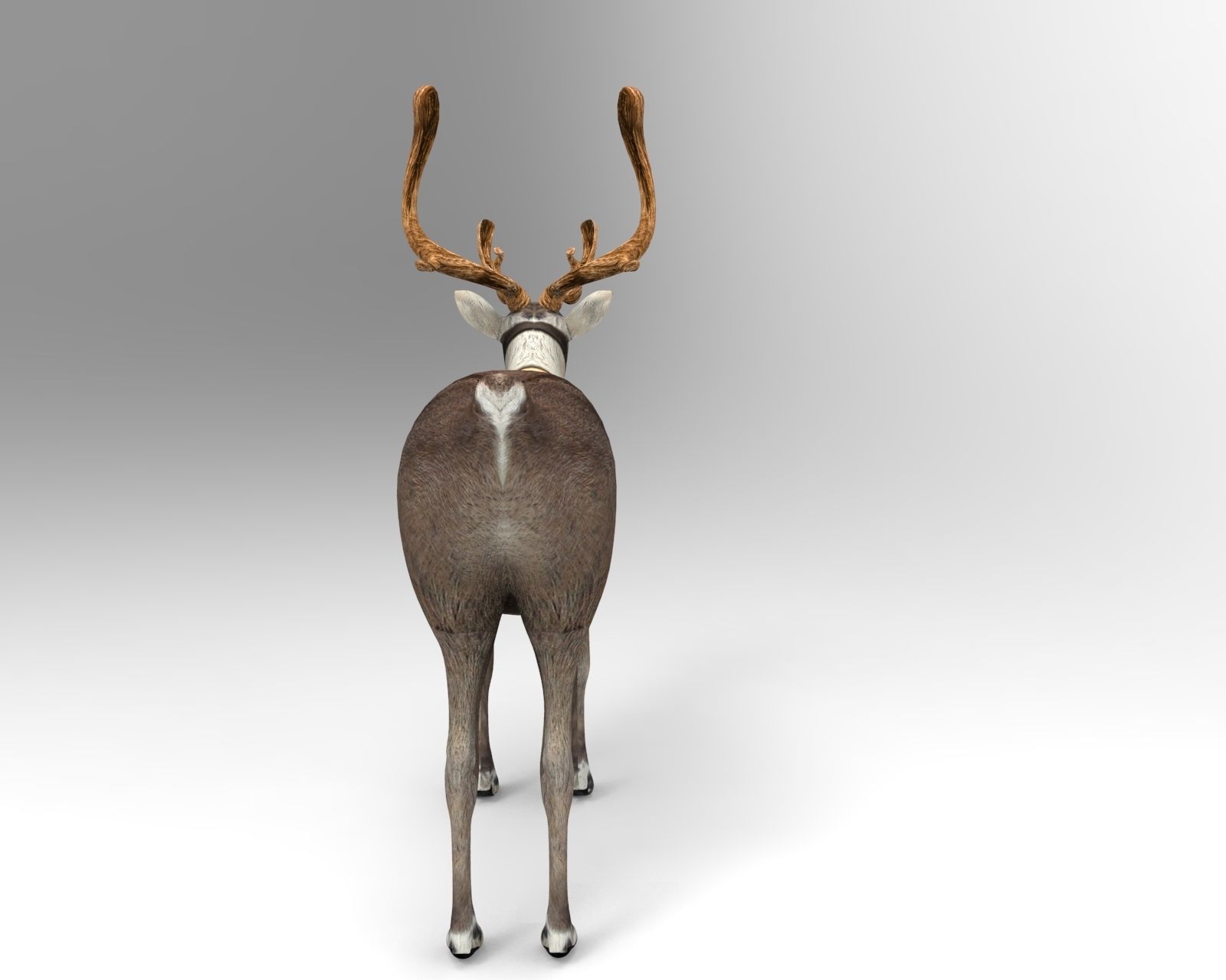 Reindeer Rigged Game Ready  Low-poly 3D model_4