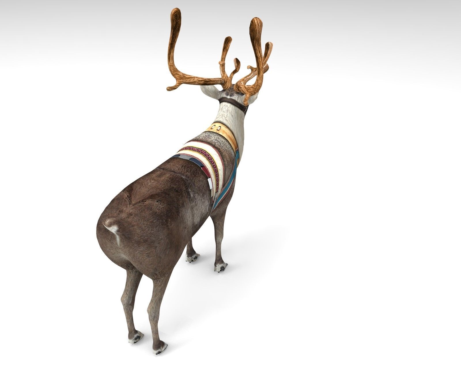 Reindeer Rigged Game Ready  Low-poly 3D model_5