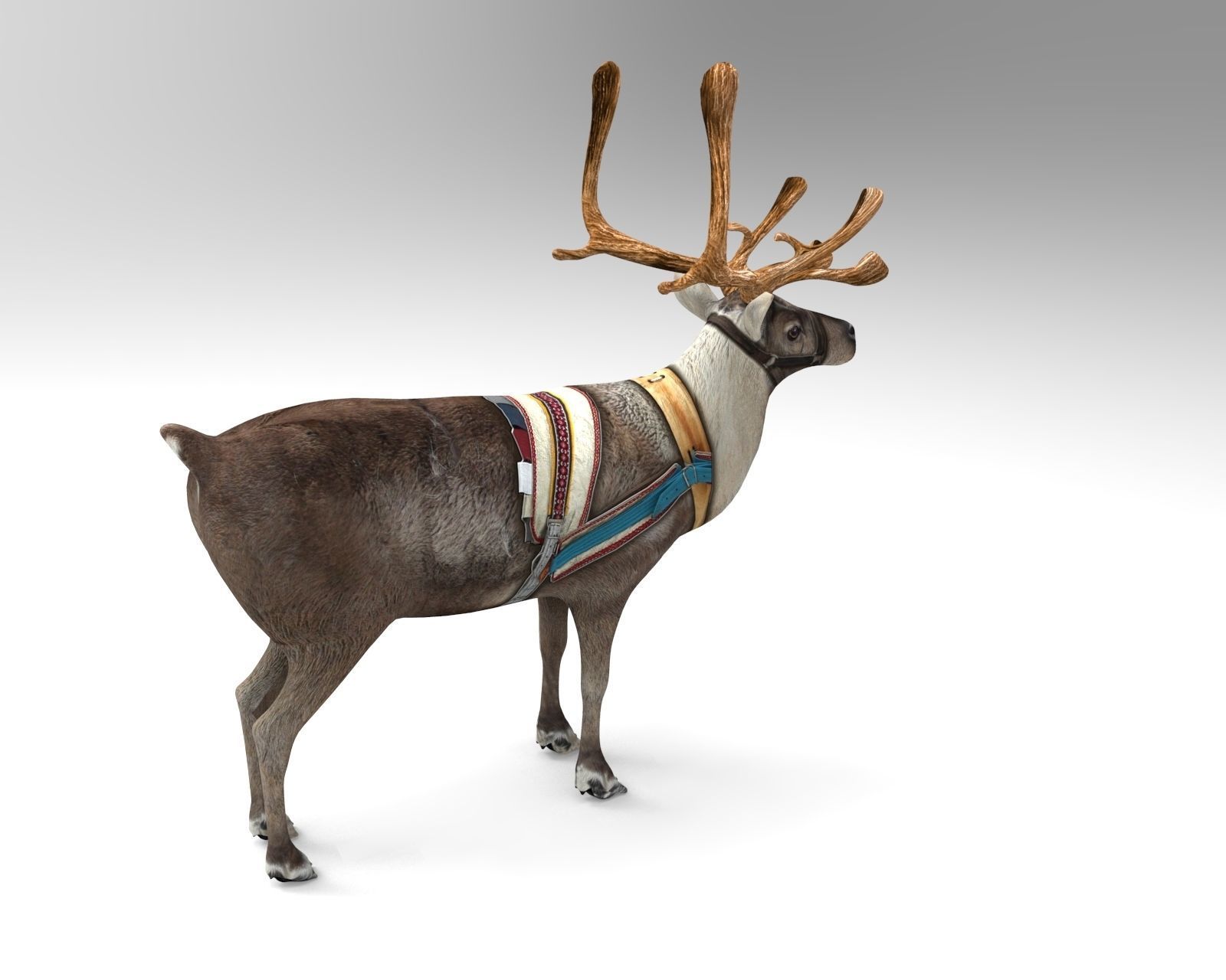 Reindeer Rigged Game Ready  Low-poly 3D model_6