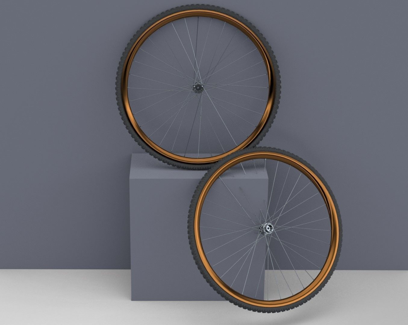 Bicycle Rim With Tire Off-road  3D model_1
