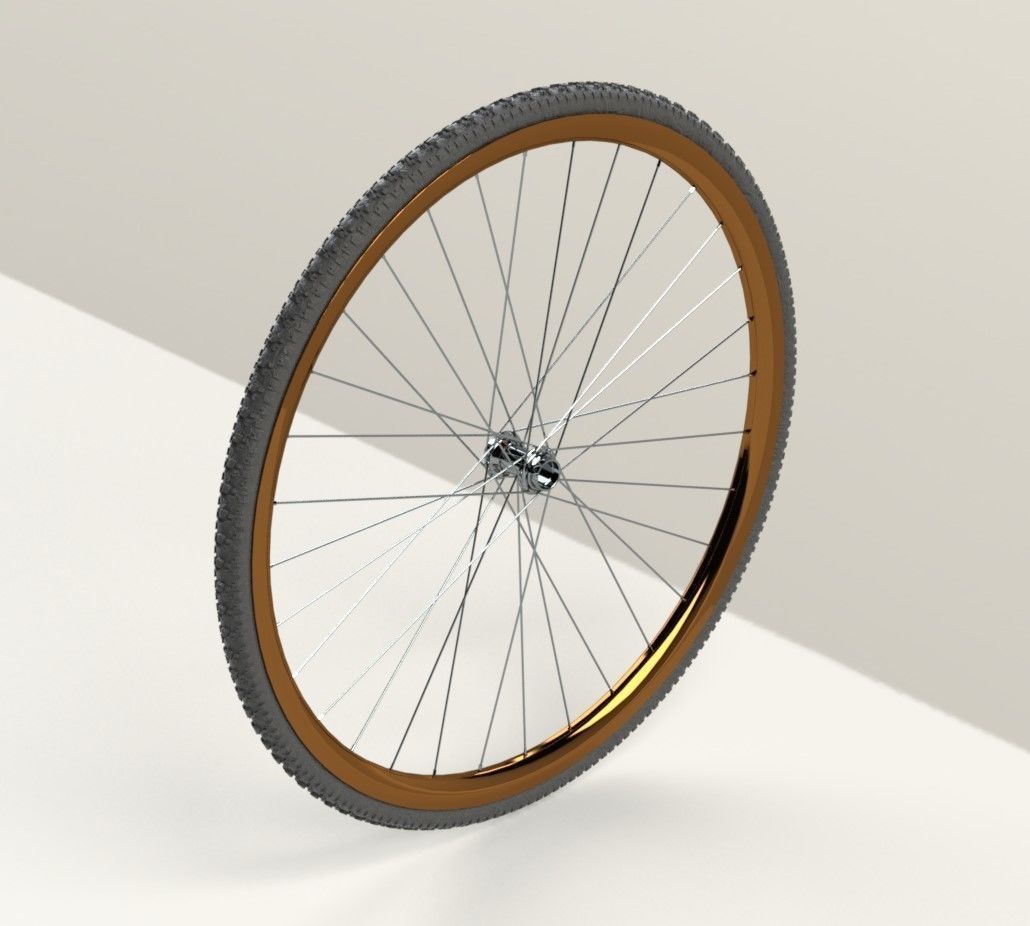Bicycle Rim With Tire Off-road  3D model_4
