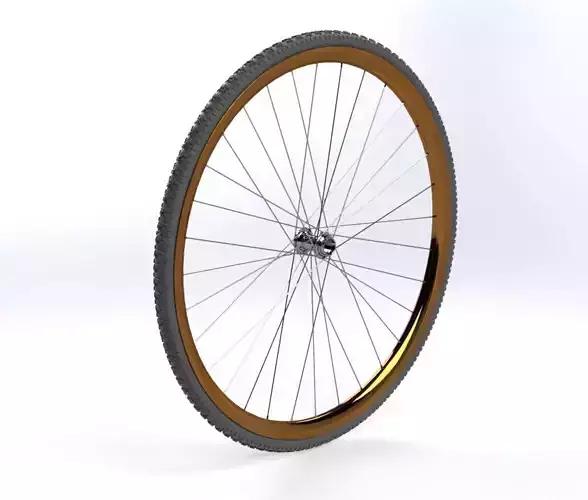 Bicycle Rim With Tire Off-road 