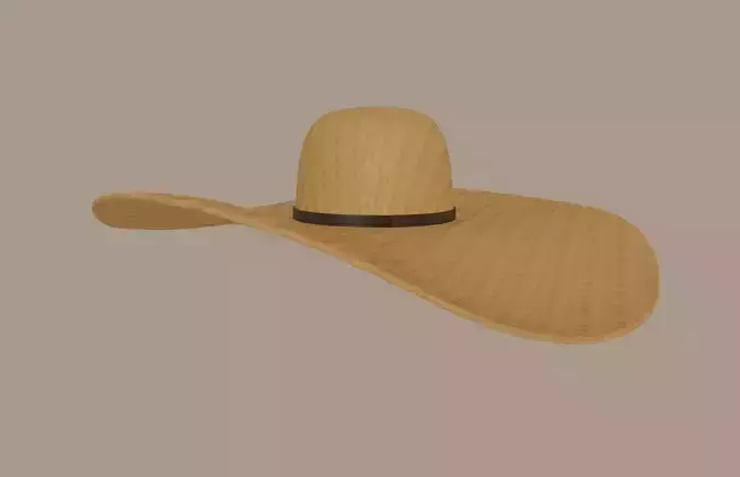 Straw Sun Hat