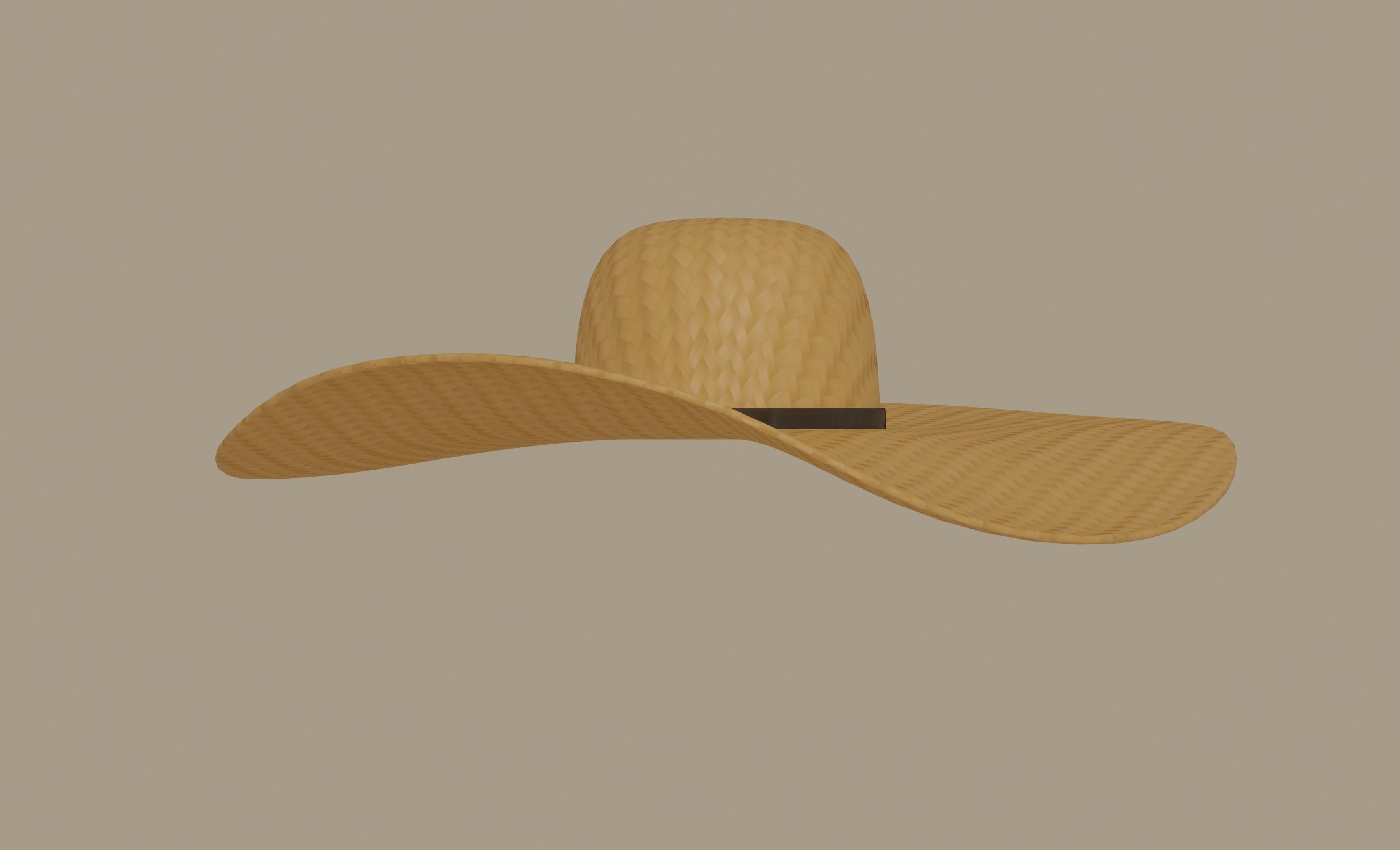 Straw Sun Hat 3D model_1