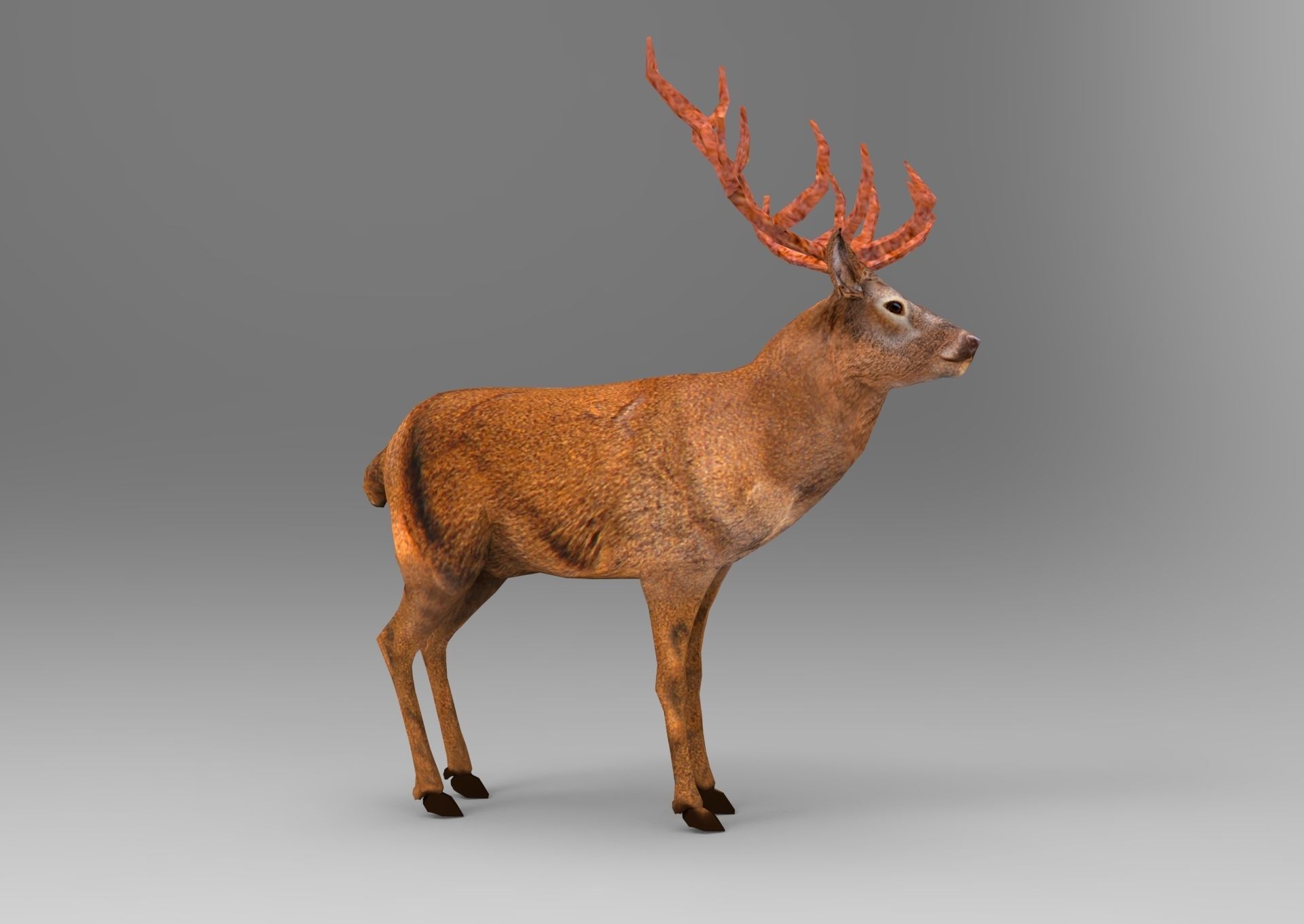 Red Deer Santa Sleigh Model Low-poly 3D model_13
