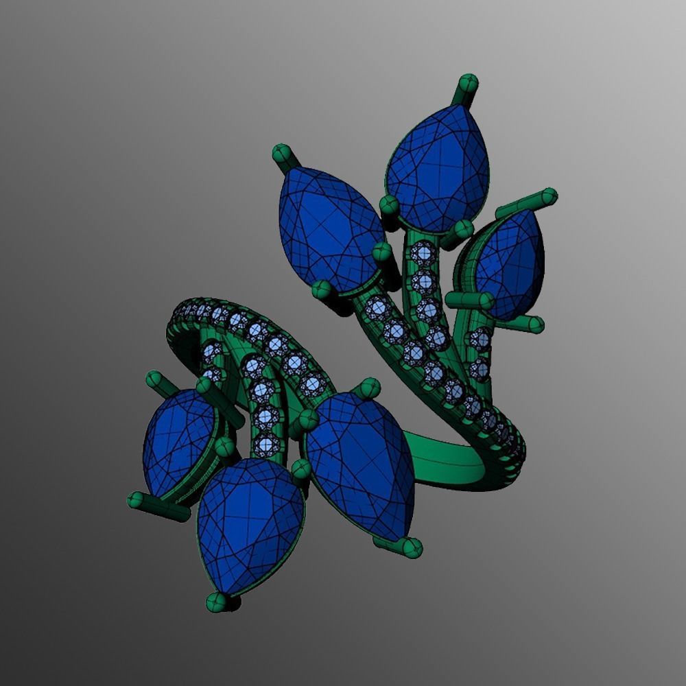 Ring pl 31 3D print model_2