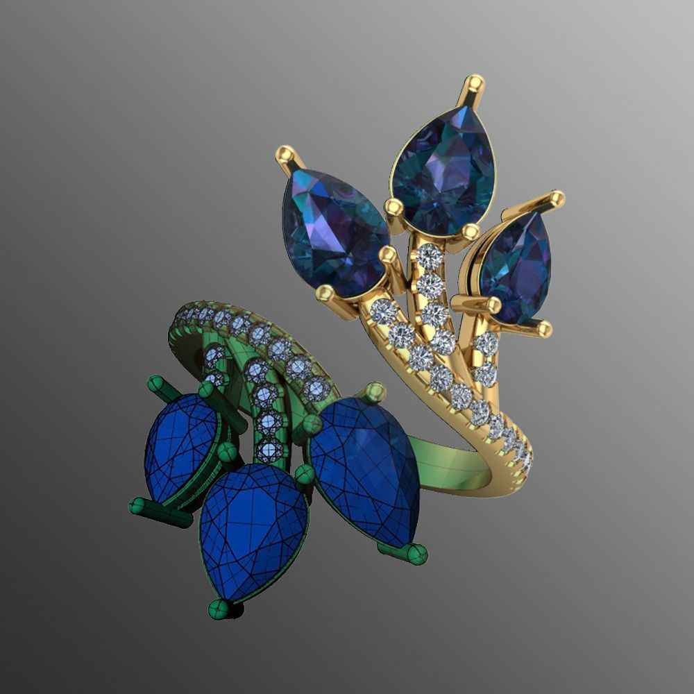 Ring pl 31 3D print model_1