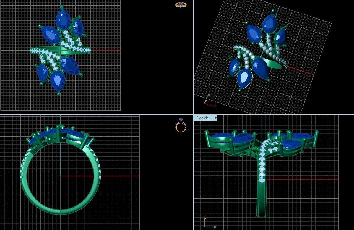 Ring pl 31 3D print model_6