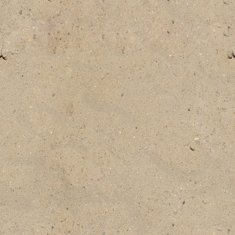 Cattail Low-poly 3D model grass in field Low-poly 3D model_11