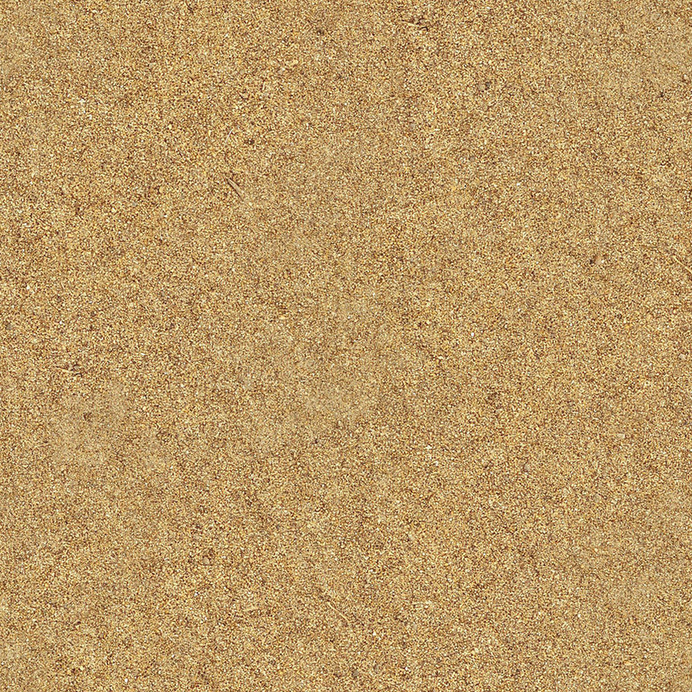 Cattail Low-poly 3D model grass in field Low-poly 3D model_4