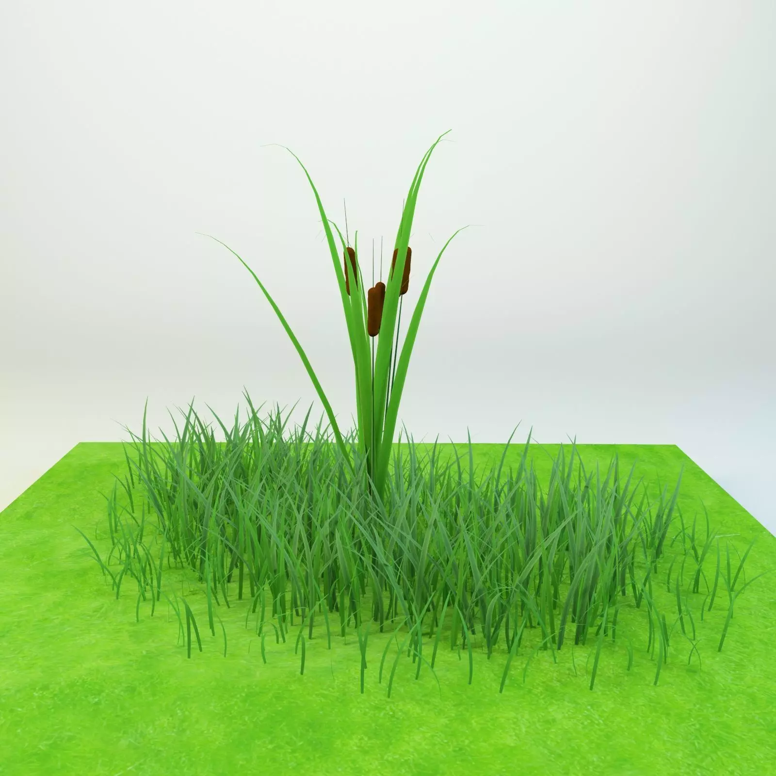 Cattail Low-poly 3D model grass in field Low-poly 3D model_0