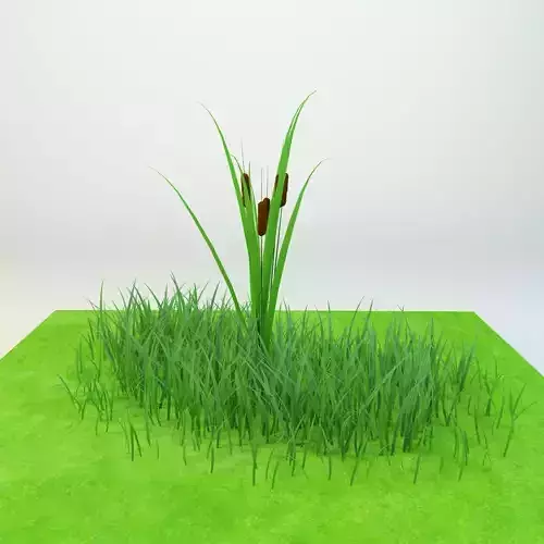 Cattail Low-poly 3D model grass in field Low-poly 3D model