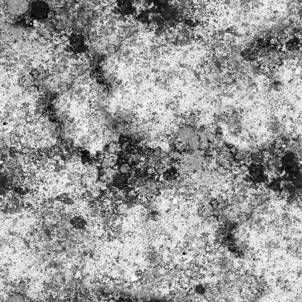 Cattail Low-poly 3D model grass in field Low-poly 3D model_10