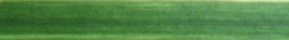 Cattail Low-poly 3D model grass in field Low-poly 3D model_9