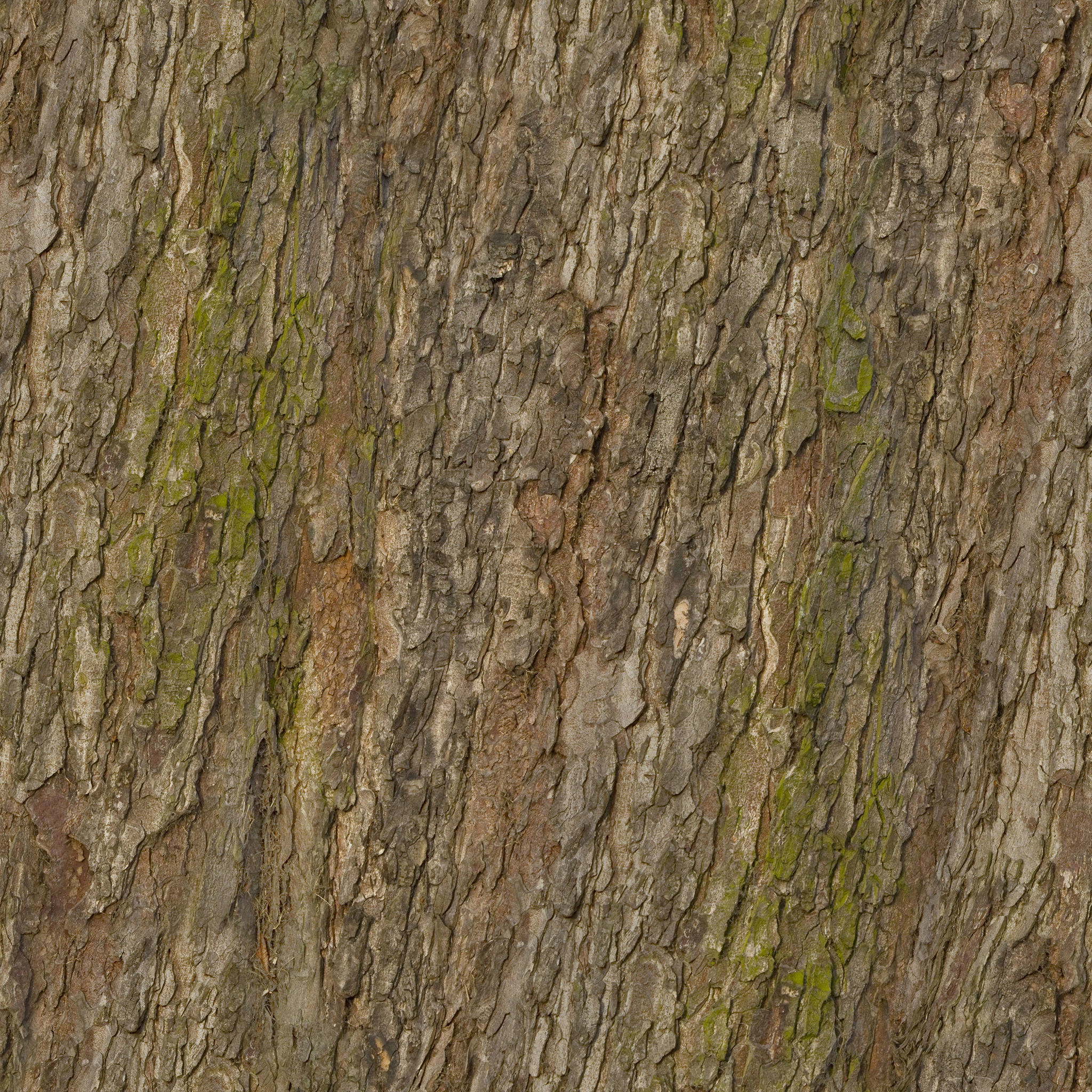 Cartoon Trees LowPoly Pack Low-poly 3D model Low-poly 3D model_4