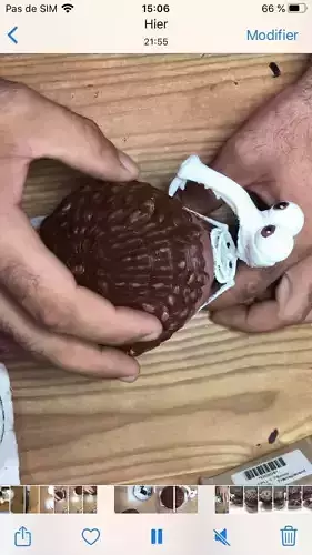 Ice age sceleton with oak 