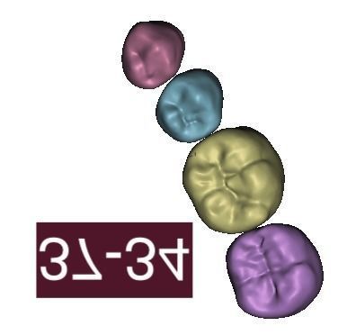 D002 Teeth Library for MeshMixer 3D print model_12