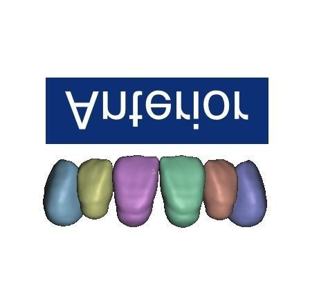 D002 Teeth Library for MeshMixer 3D print model_11