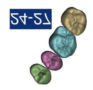 D002 Teeth Library for MeshMixer 3D print model_2