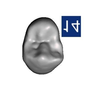 D002 Teeth Library for MeshMixer 3D print model_9