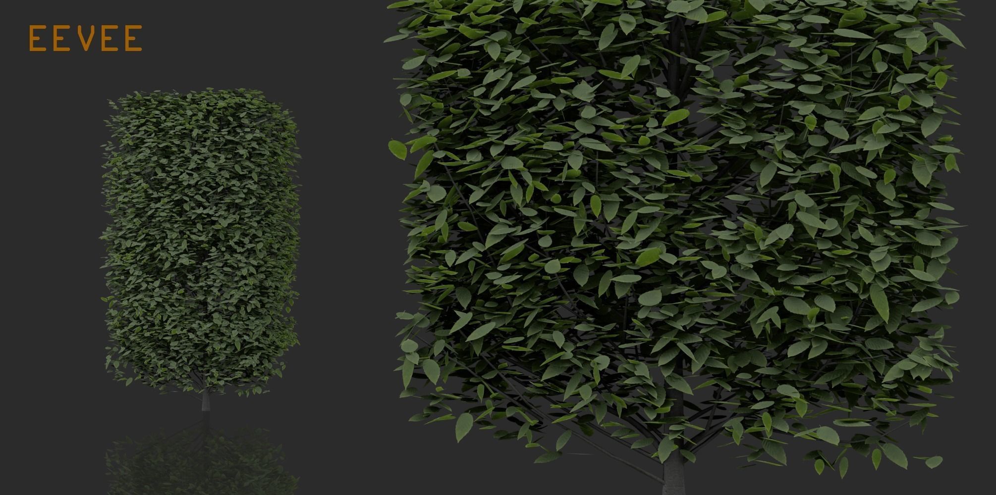 Hedges and Shrubs Pack 3D model_2