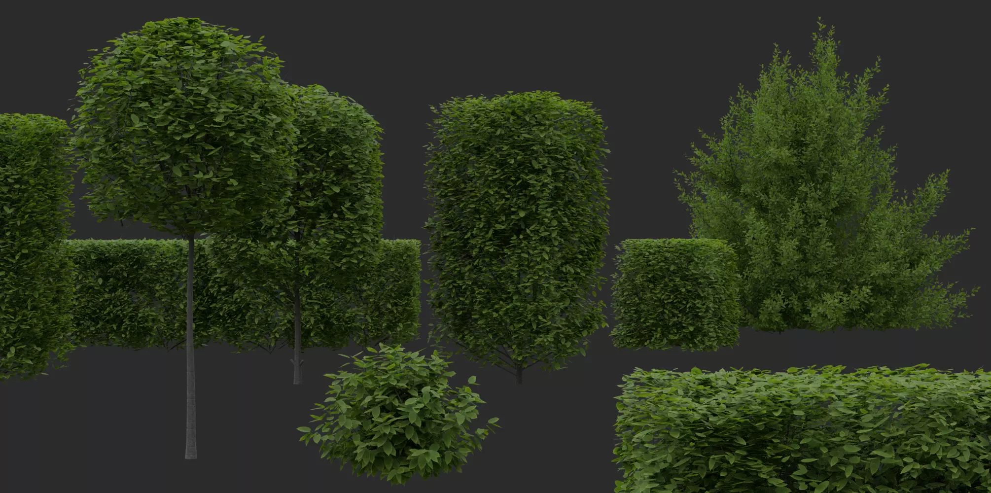 Hedges and Shrubs Pack 3D model_0