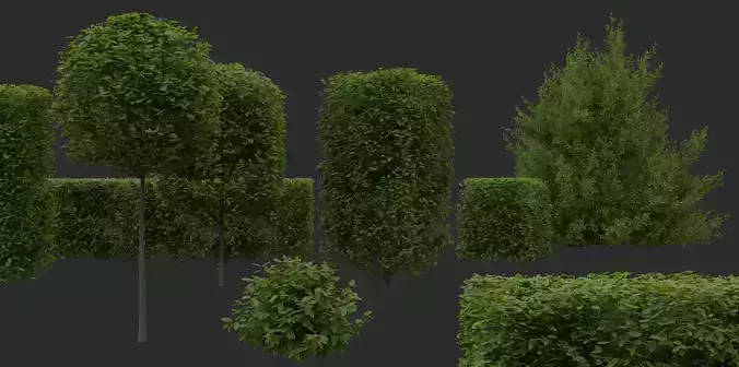 Hedges and Shrubs Pack 3D model