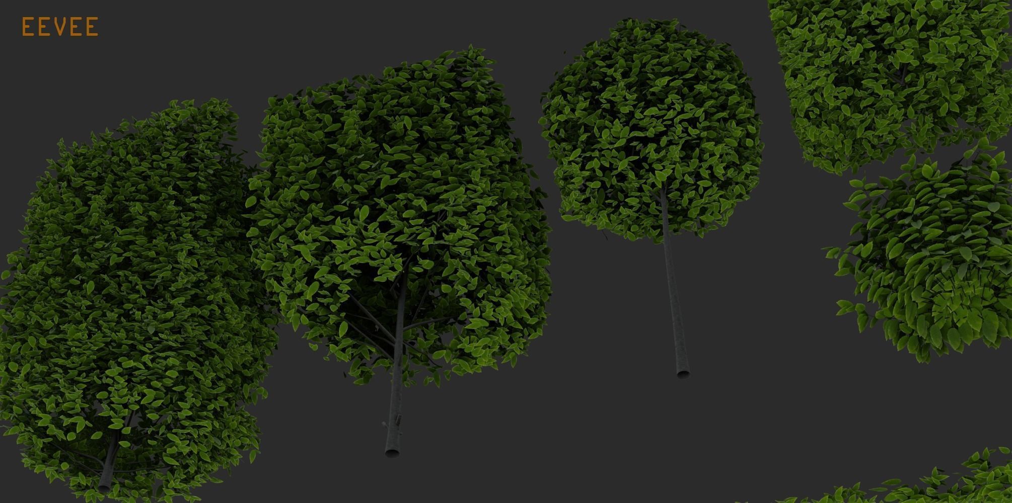 Hedges and Shrubs Pack 3D model_11