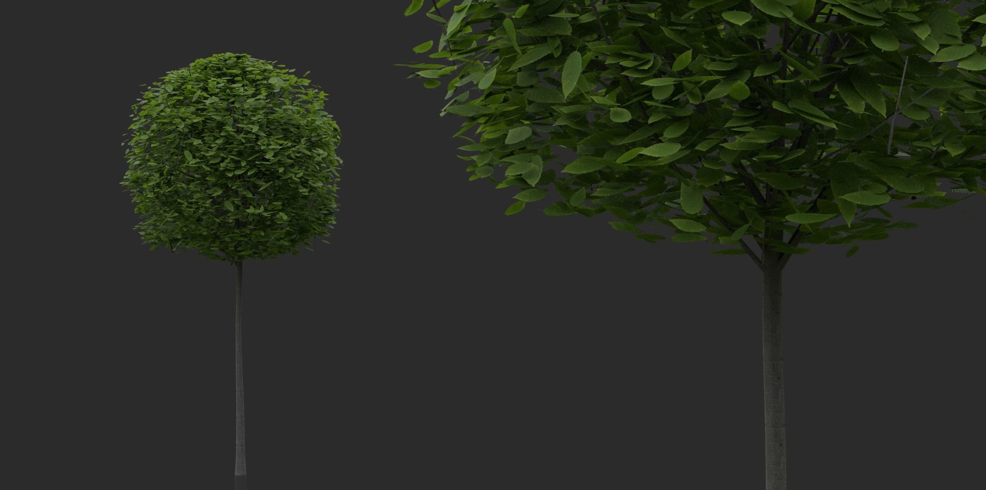 Hedges and Shrubs Pack 3D model_7