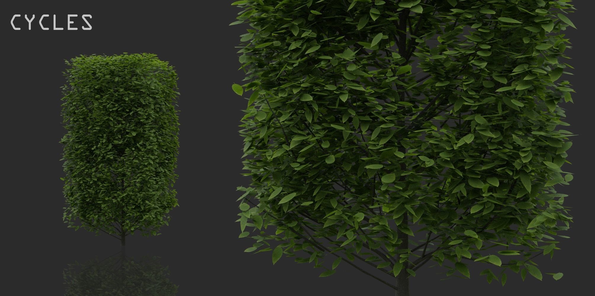 Hedges and Shrubs Pack 3D model_1