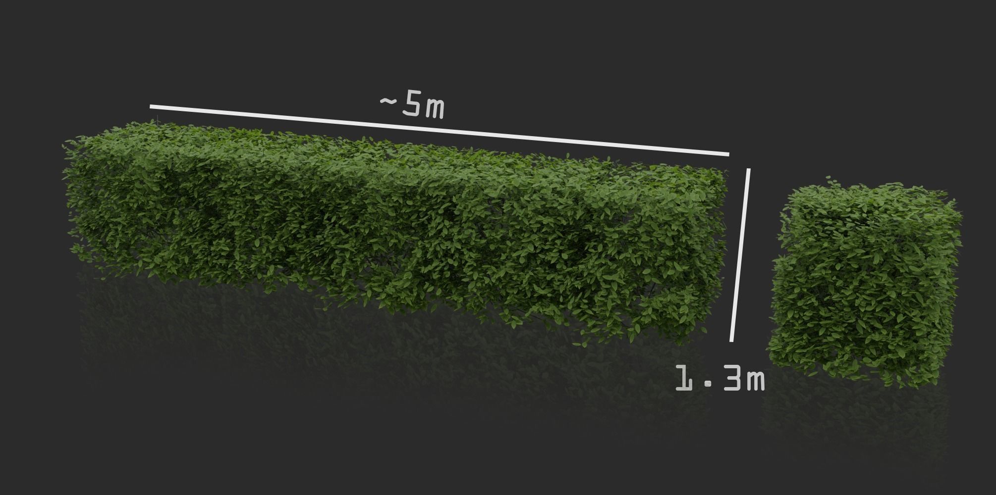 Hedges and Shrubs Pack 3D model_5