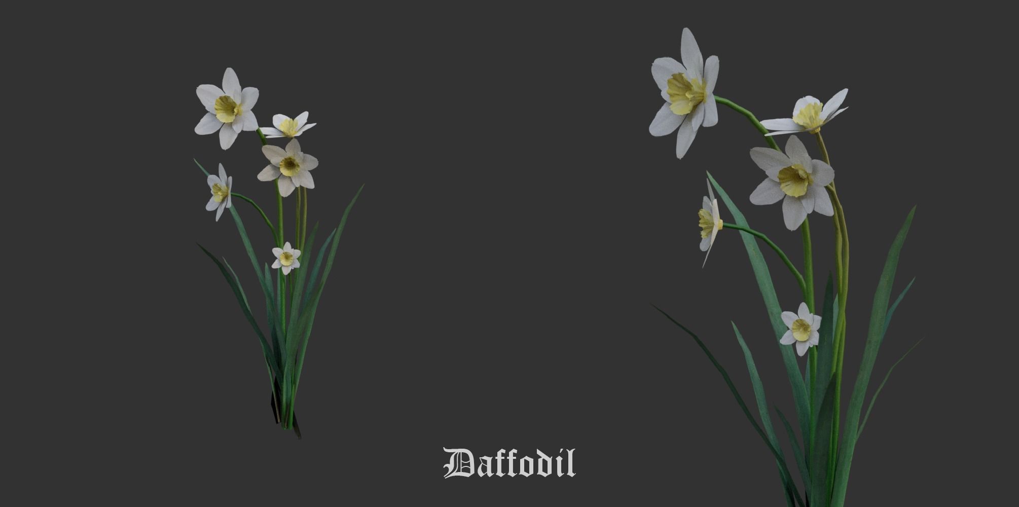 Garden Pack 3D Model Collection_17