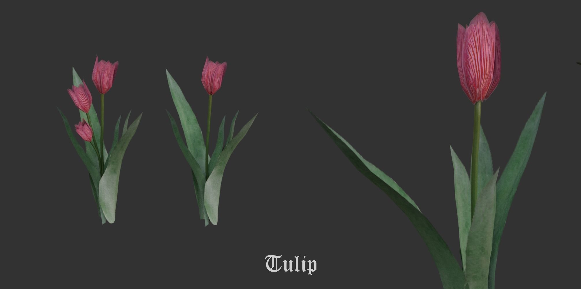 Garden Pack 3D Model Collection_18