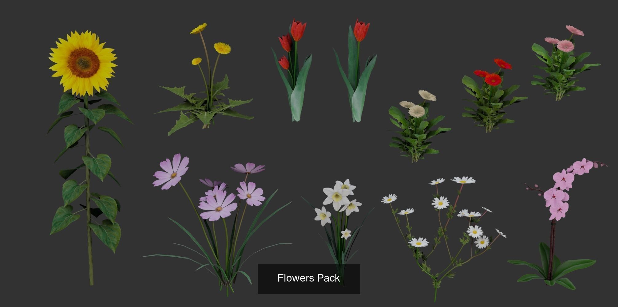 Garden Pack 3D Model Collection_12