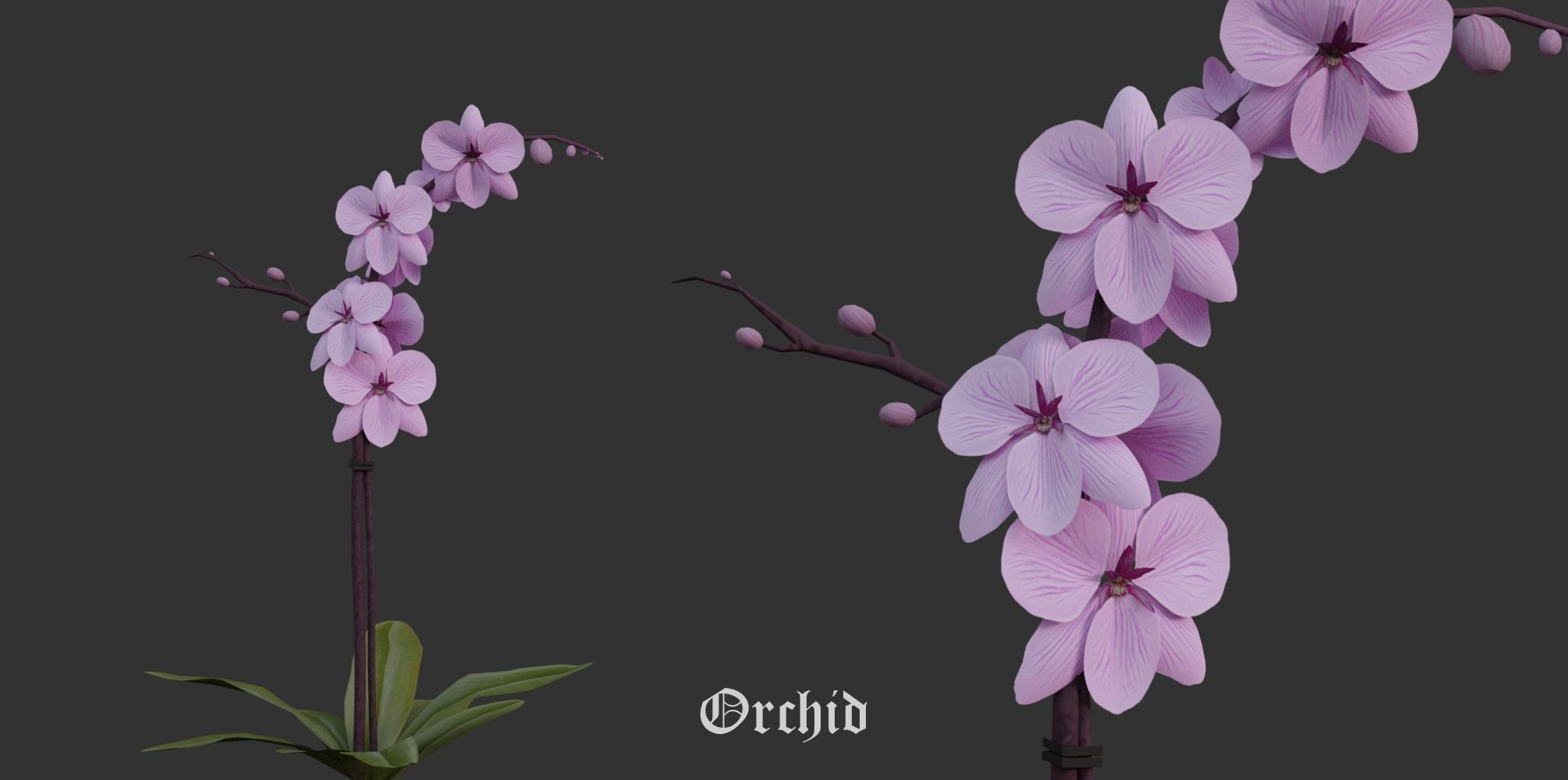 Garden Pack 3D Model Collection_22